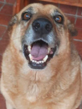 Imagen de publicación